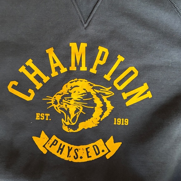 Champion Phys Ed SS Workout Gym Sweat-tee Sz L Vintage-vibe Collegiate NWOT - Picture 4 of 10